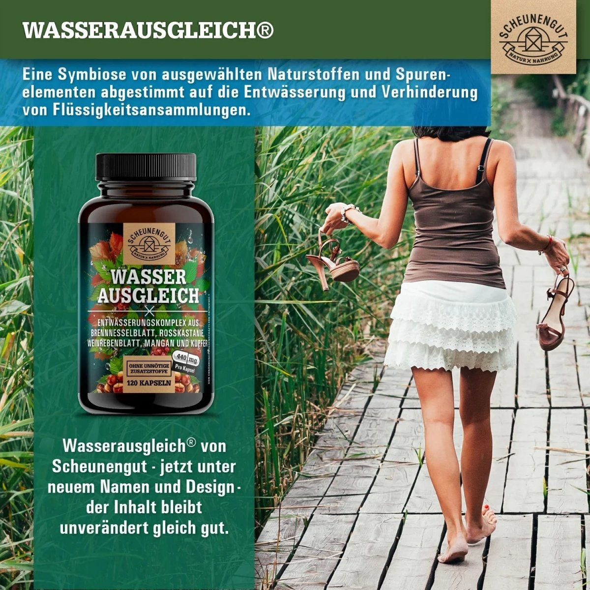 Entwässerungs - Komplex mit Brennnessel, Rosskastanie, Weinrebenblatt, Mangan und Kupfer Scheunengut - Shop