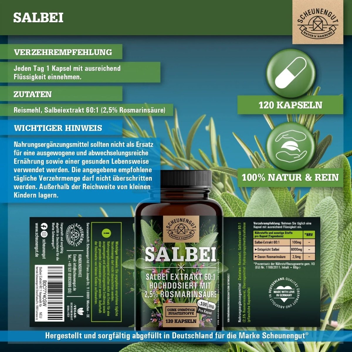 Exklusiver 60:1 Extrakt aus mazedonischen Salbei - Blättern - mindestens 2,5% Rosmarinsäure Scheunengut - Shop