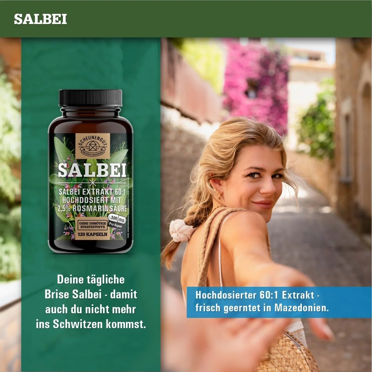 Exklusiver 60:1 Extrakt aus mazedonischen Salbei - Blättern - mindestens 2,5% Rosmarinsäure Scheunengut - Shop