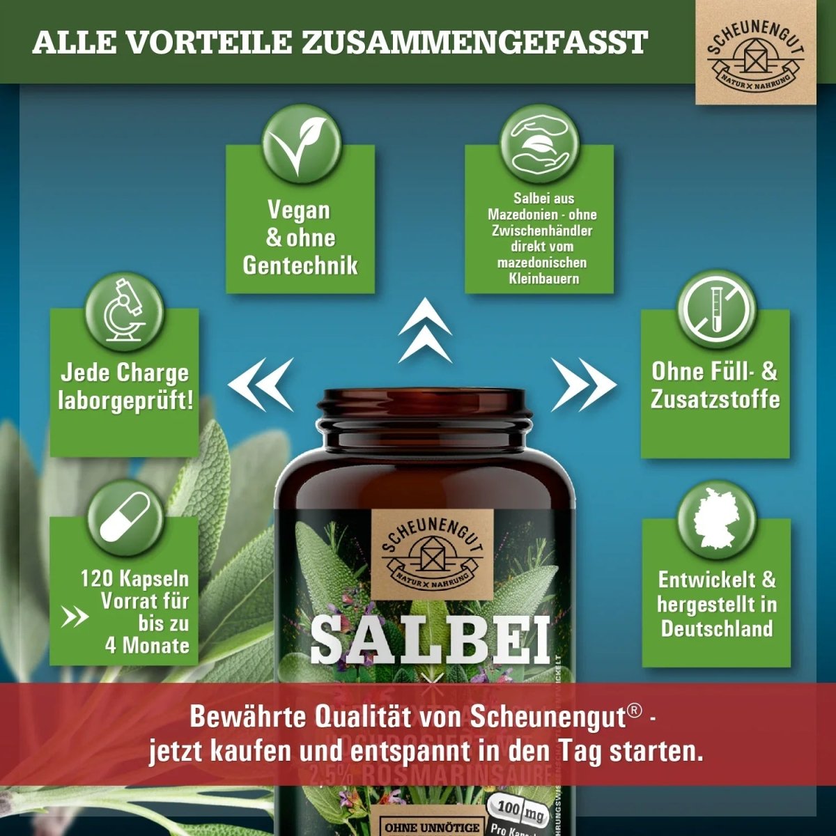 Exklusiver 60:1 Extrakt aus mazedonischen Salbei - Blättern - mindestens 2,5% Rosmarinsäure Scheunengut - Shop