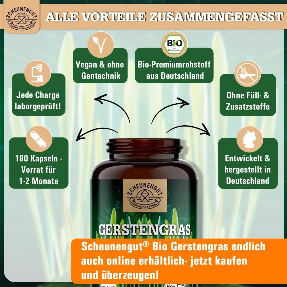 Feinstes Gerstengras Pulver aus biologischem Anbau in Deutschland Scheunengut - Shop