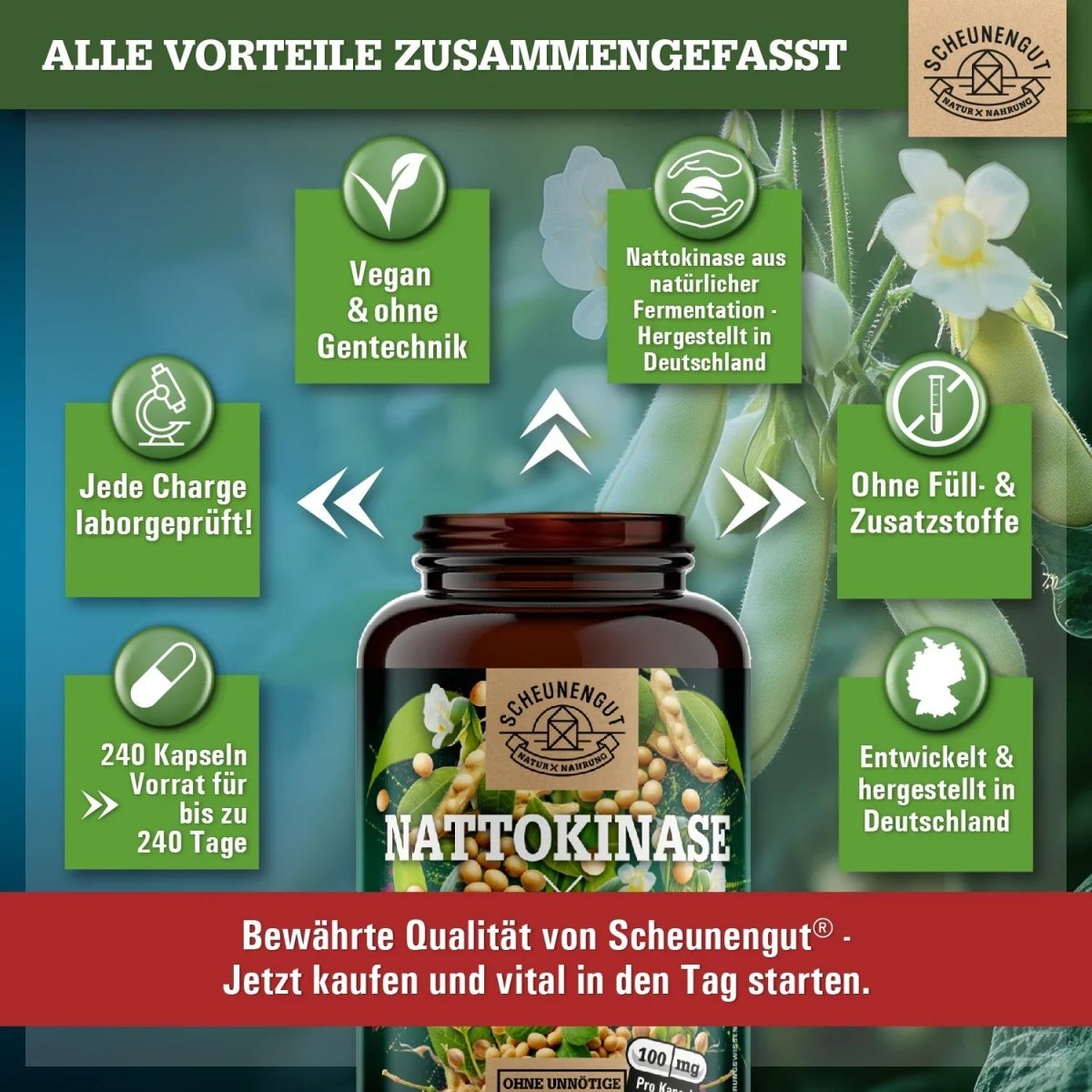 Fermentiert aus Soja - magensaftresistente Kapseln mit 20.000 FU/g Scheunengut - Shop