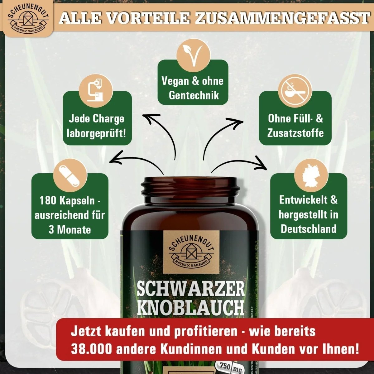 Fermentierter Knoblauch Extrakt hochdosiert 25:1 mit 15% Polyphenole & S - Allylcystein Scheunengut - Shop