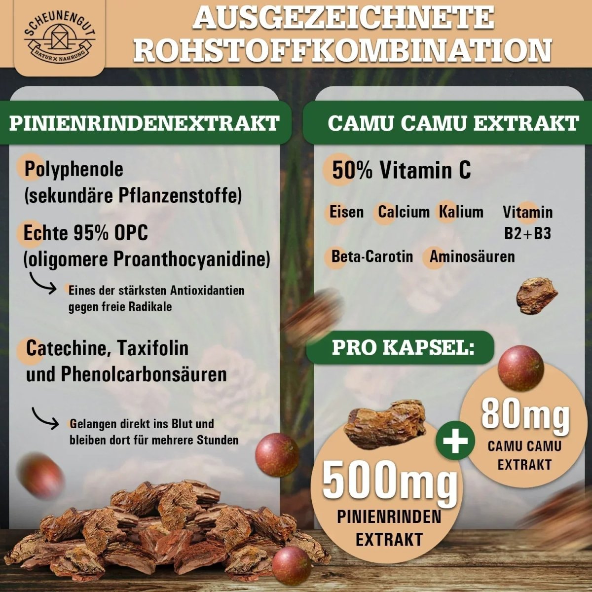 Französische Meereskiefer hochdosiert 25:1 mit 95% OPC und Vitamin C Scheunengut - Shop