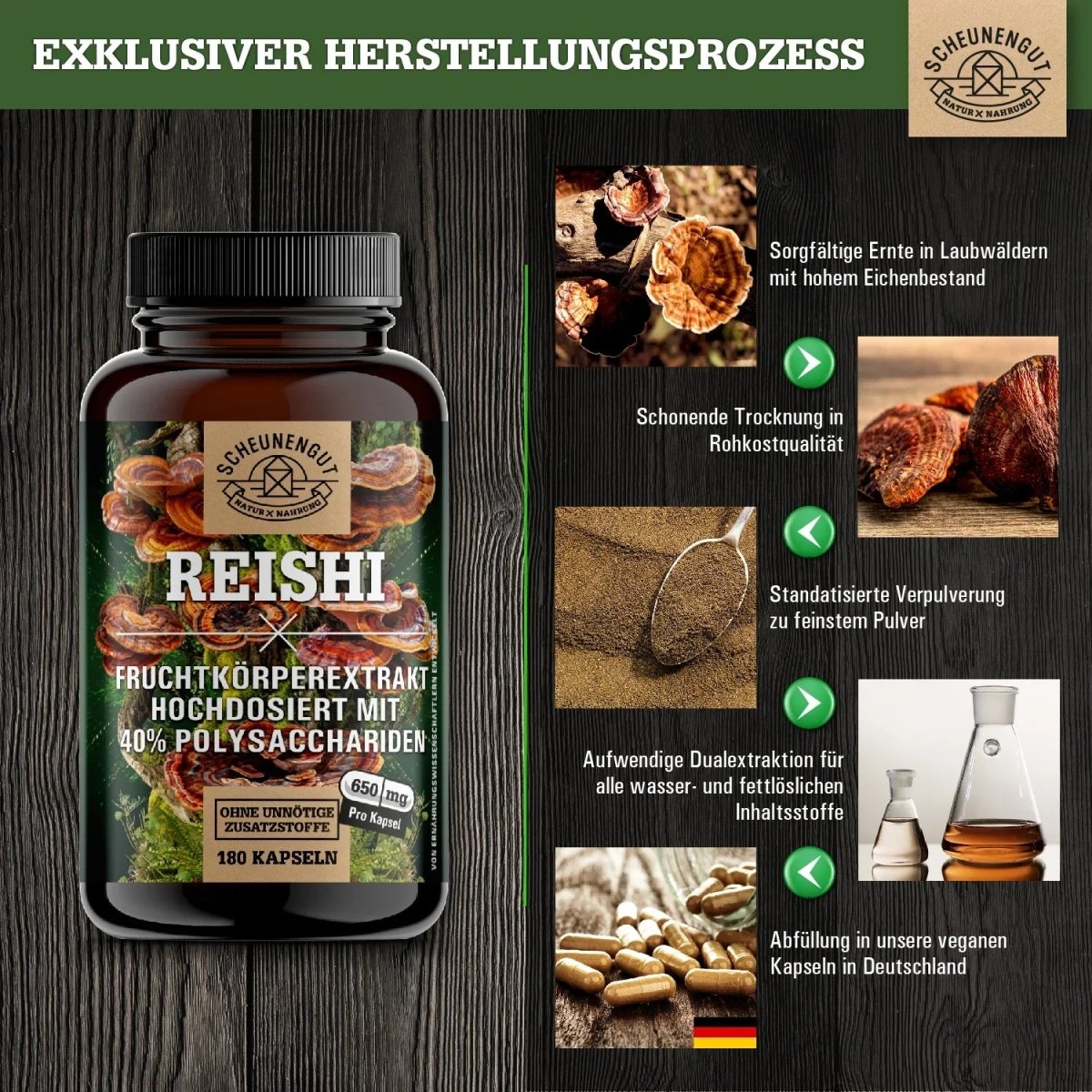 Glänzender Lackporling Extrakt 20:1 mit 40% bioaktiven Polysacchariden Scheunengut - Shop