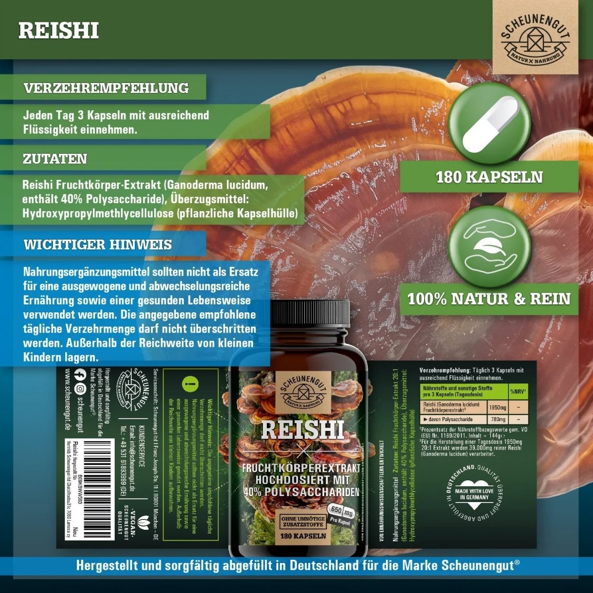 Glänzender Lackporling Extrakt 20:1 mit 40% bioaktiven Polysacchariden Scheunengut - Shop