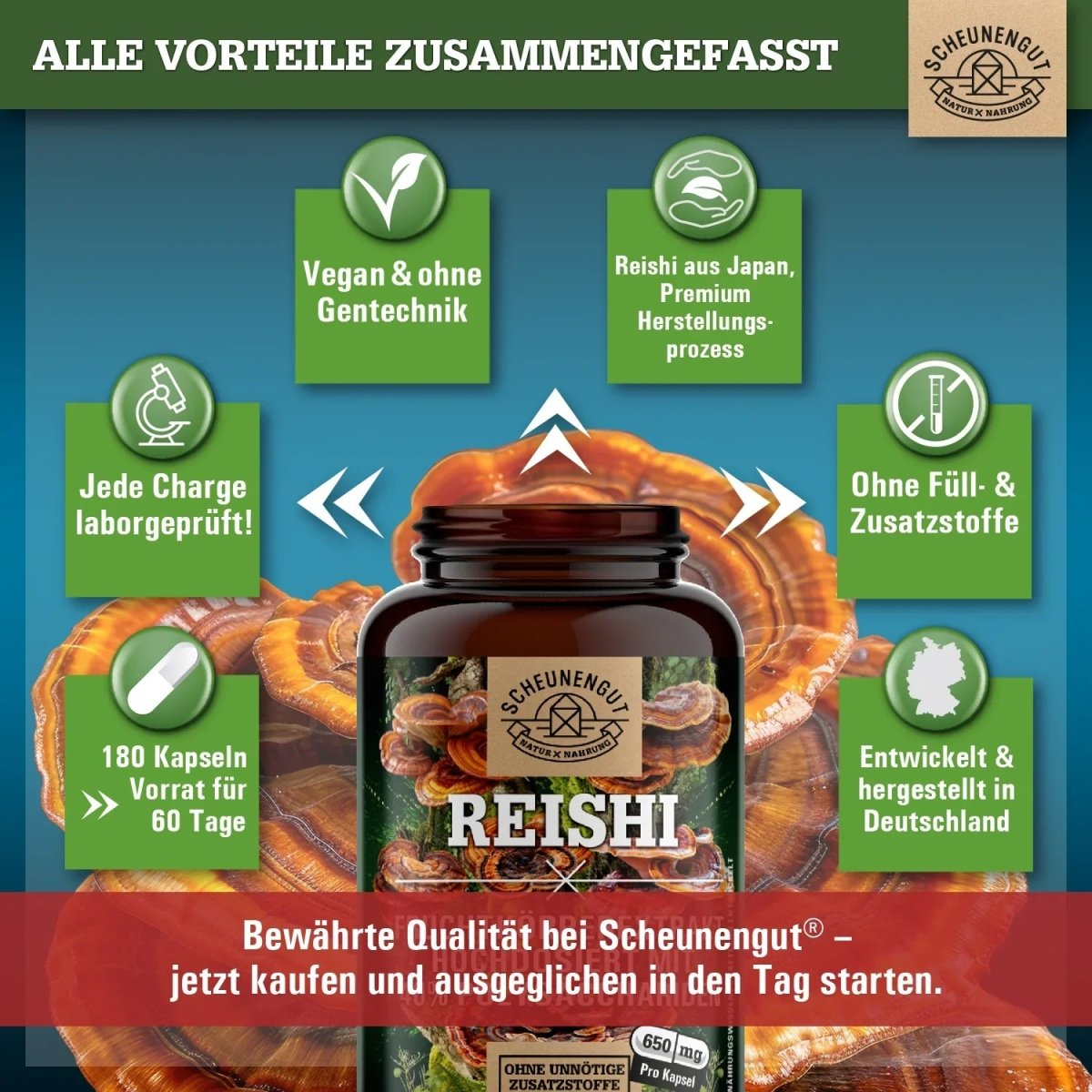 Glänzender Lackporling Extrakt 20:1 mit 40% bioaktiven Polysacchariden Scheunengut - Shop