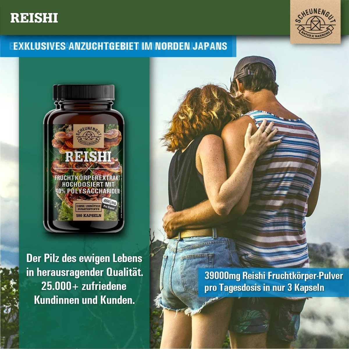 Glänzender Lackporling Extrakt 20:1 mit 40% bioaktiven Polysacchariden Scheunengut - Shop