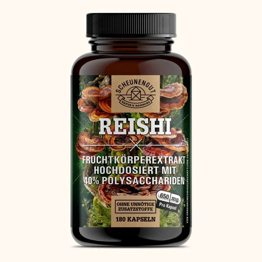 Glänzender Lackporling Extrakt 20:1 mit 40% bioaktiven Polysacchariden Scheunengut - Shop