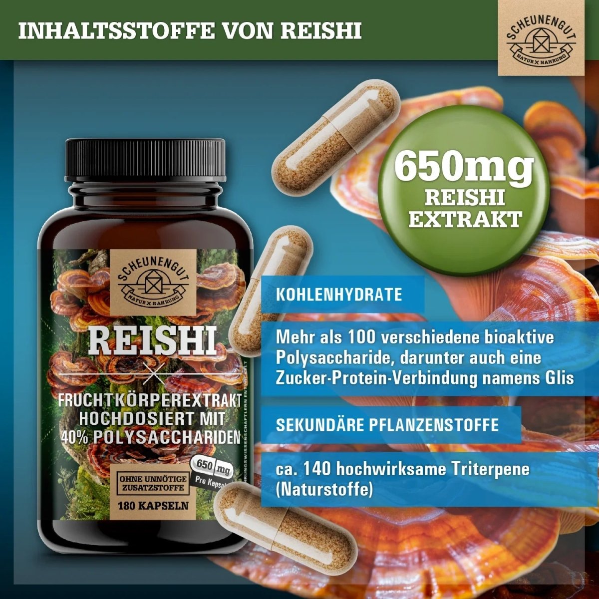 Glänzender Lackporling Extrakt 20:1 mit 40% bioaktiven Polysacchariden Scheunengut - Shop