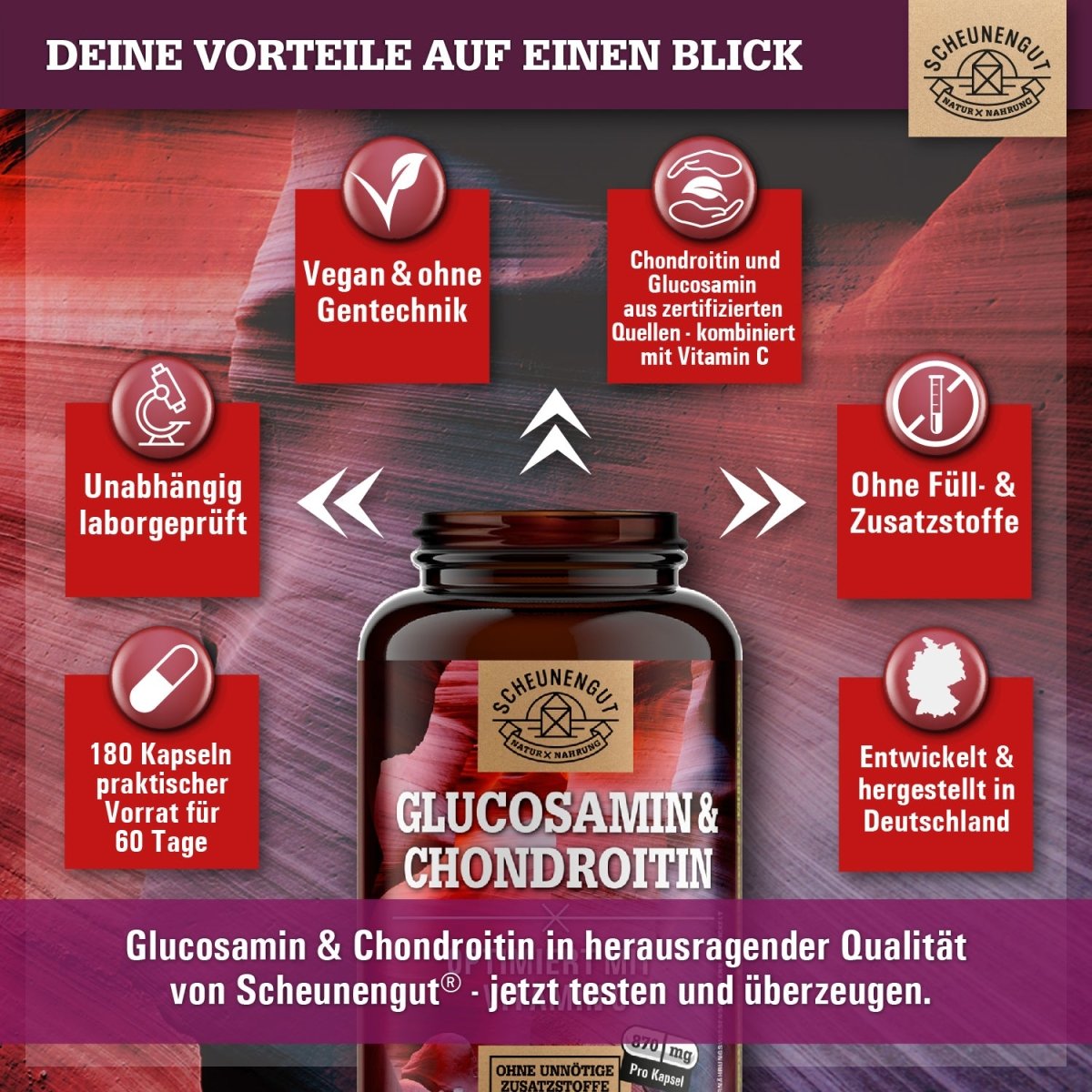 Glucosamin & Chondroitin optimiert mit Vitamin C Scheunengut Shop