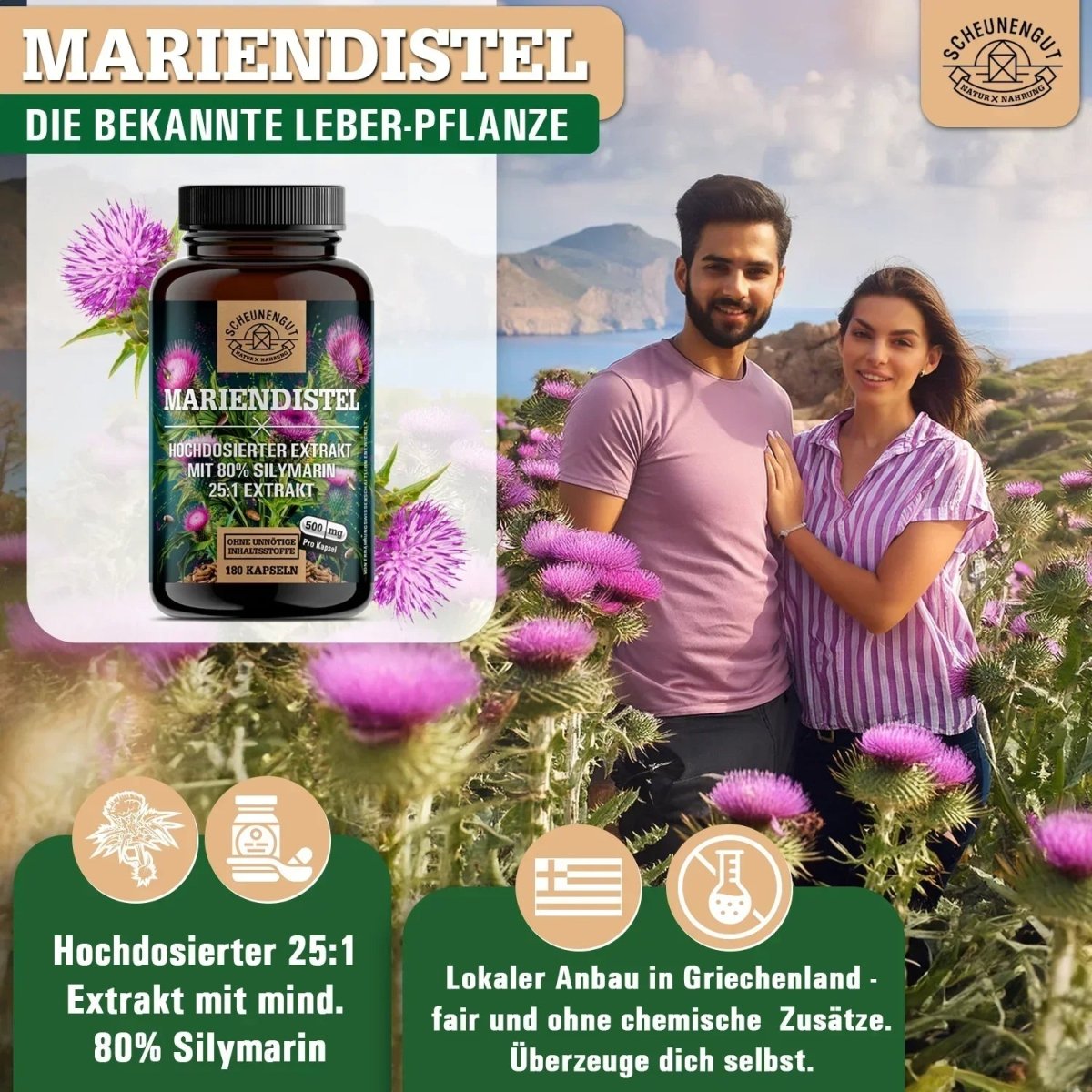 Griechischer Extrakt hochdosiert 25:1 mit 80% Silymarin Scheunengut - Shop