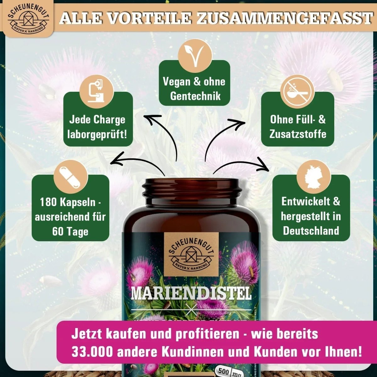 Griechischer Extrakt hochdosiert 25:1 mit 80% Silymarin Scheunengut - Shop