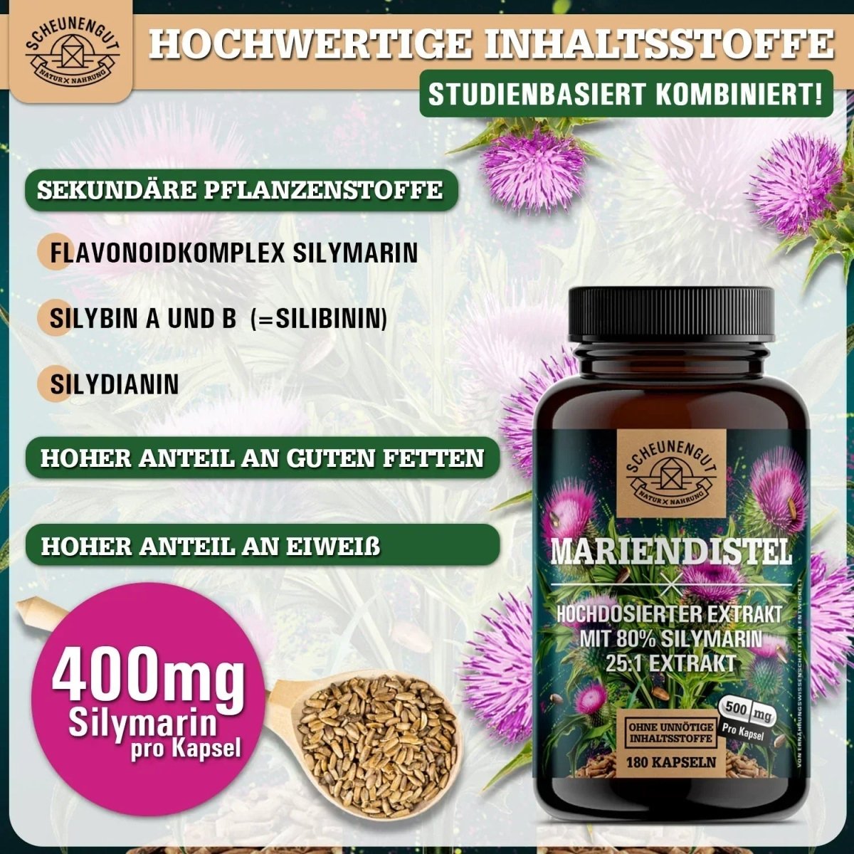 Griechischer Extrakt hochdosiert 25:1 mit 80% Silymarin Scheunengut - Shop