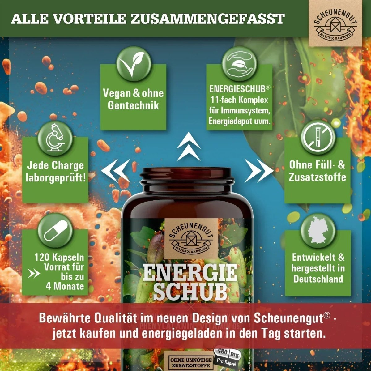 Griffonia Komplex mit natürlichem Koffein, L - Tyrosin, L - Phenylalanin, Vitaminen & Spurenelementen Scheunengut - Shop