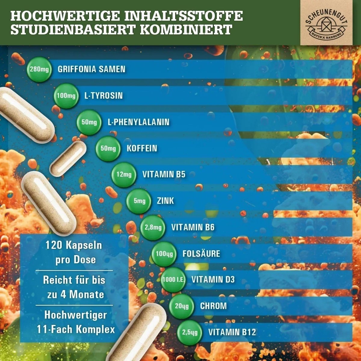 Griffonia Komplex mit natürlichem Koffein, L - Tyrosin, L - Phenylalanin, Vitaminen & Spurenelementen Scheunengut - Shop