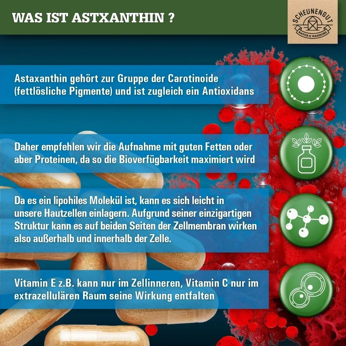 Haematococcus Pluvialis Pulver aus Frankreich - 100% Vegan Scheunengut - Shop