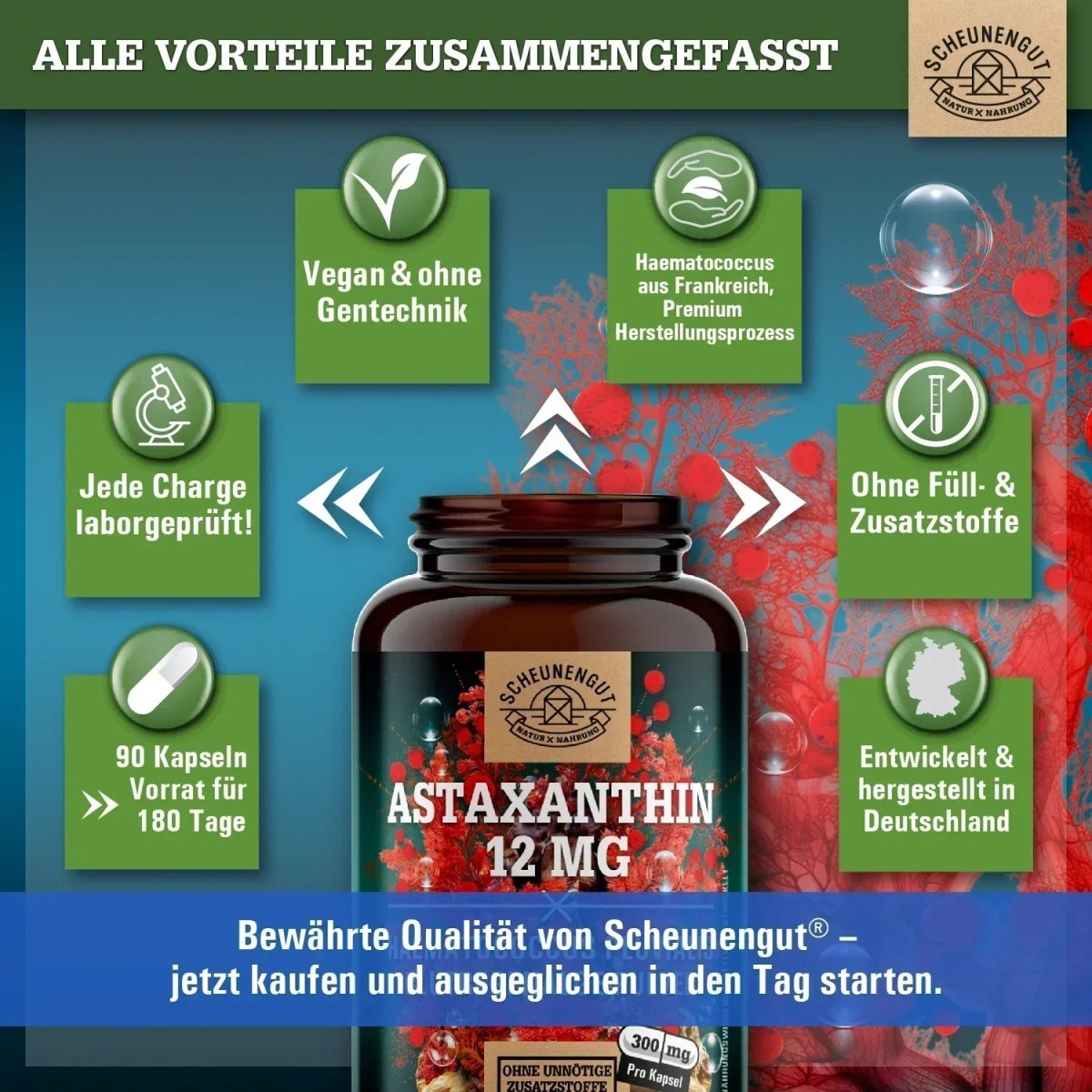 Haematococcus Pluvialis Pulver aus Frankreich - 100% Vegan Scheunengut - Shop