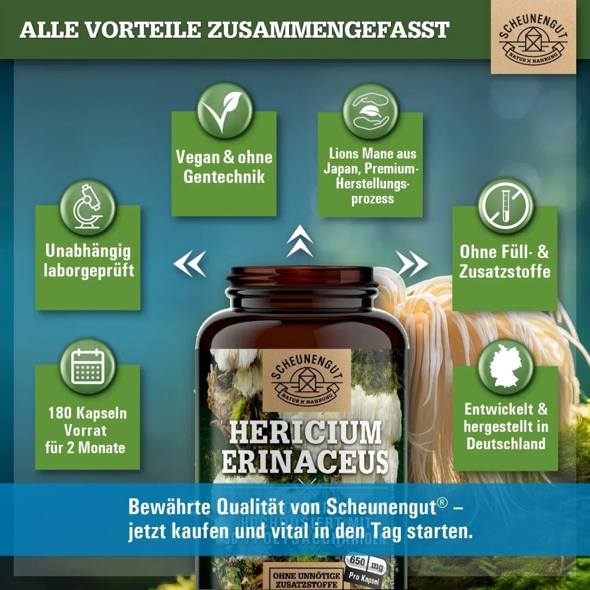 Hericium Erinaceus mit 30% Polysacchariden & 5% Beta - Glucan Scheunengut - Shop
