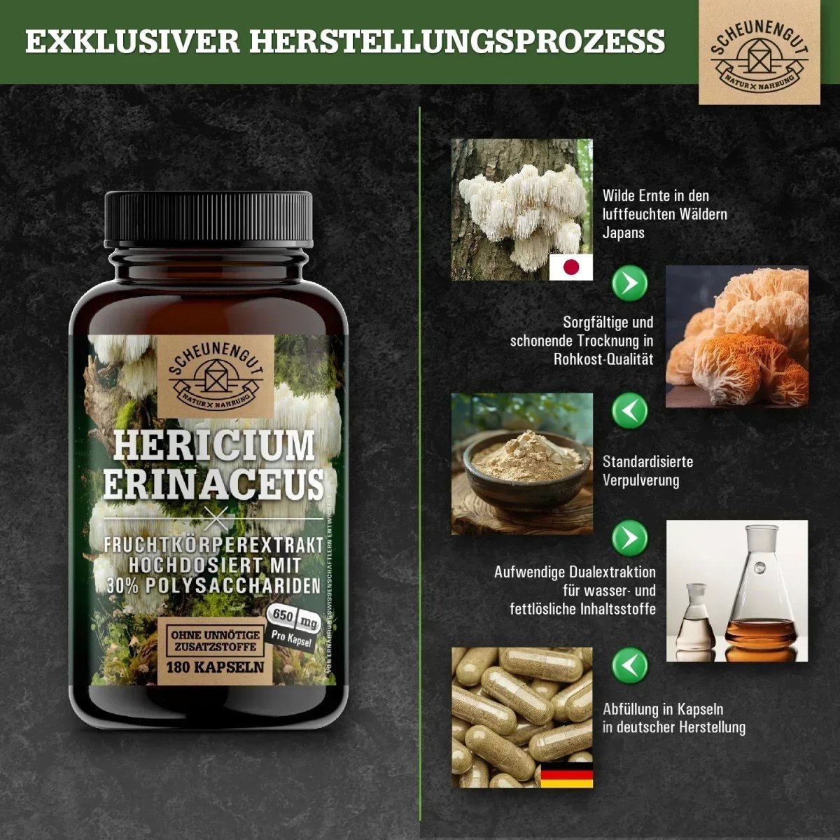 Hericium Erinaceus mit 30% Polysacchariden & 5% Beta - Glucan Scheunengut - Shop