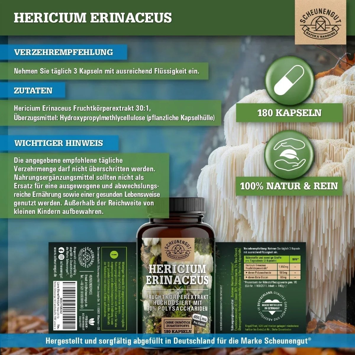 Hericium Erinaceus mit 30% Polysacchariden & 5% Beta - Glucan Scheunengut - Shop