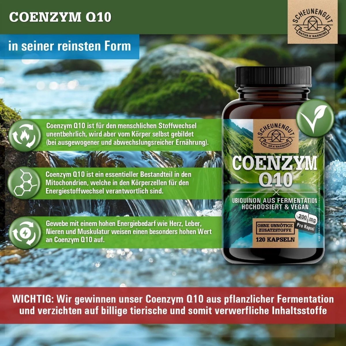 Hochdosiertes Ubiquinon aus pflanzlicher Fermentation Scheunengut - Shop