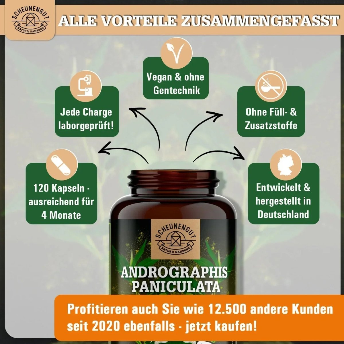 Indischer Kalmegh Extrakt - mindestens 10% Andrographolide Scheunengut - Shop