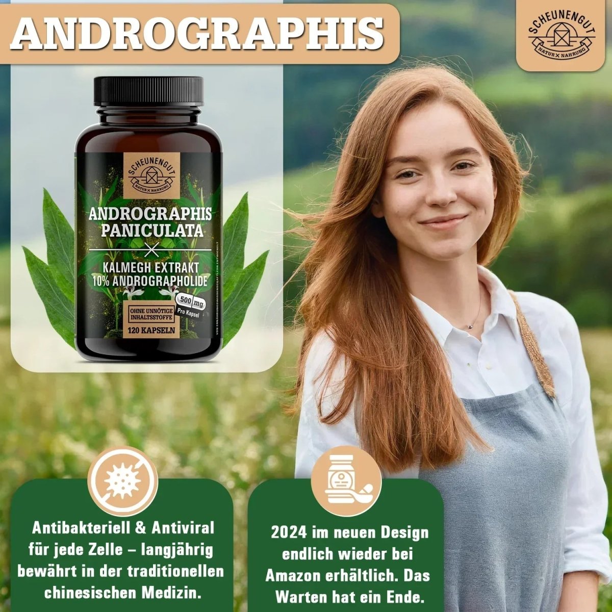 Indischer Kalmegh Extrakt - mindestens 10% Andrographolide Scheunengut - Shop