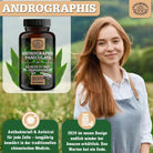 Indischer Kalmegh Extrakt - mindestens 10% Andrographolide Scheunengut - Shop