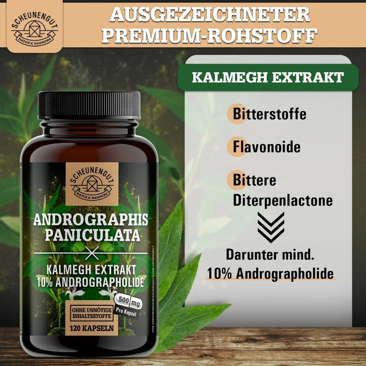 Indischer Kalmegh Extrakt - mindestens 10% Andrographolide Scheunengut - Shop