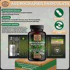 Indischer Kalmegh Extrakt - mindestens 10% Andrographolide Scheunengut - Shop