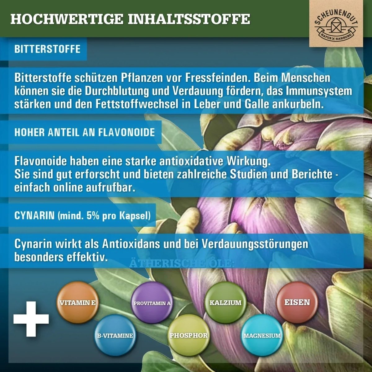 Italienischer Extrakt hochdosiert 30:1 mit mindestens 5% Cynarin Scheunengut - Shop