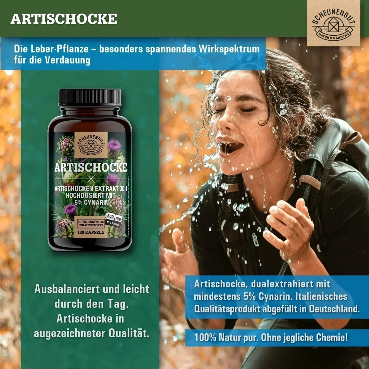 Italienischer Extrakt hochdosiert 30:1 mit mindestens 5% Cynarin Scheunengut - Shop