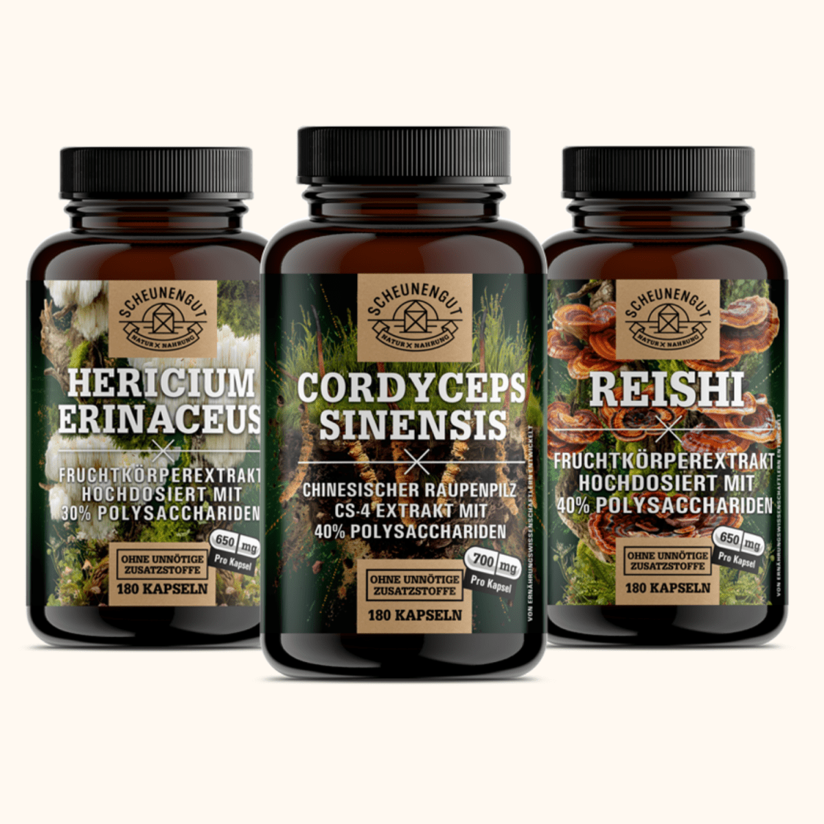Klarer Kopf. Starker Körper. Ruhiger Geist. – Vitalpilze im Dreiklang Scheunengut Shop