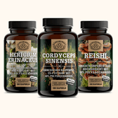 Clear mind. Strong body. Calm spirit. – Vital mushrooms in perfect harmony.