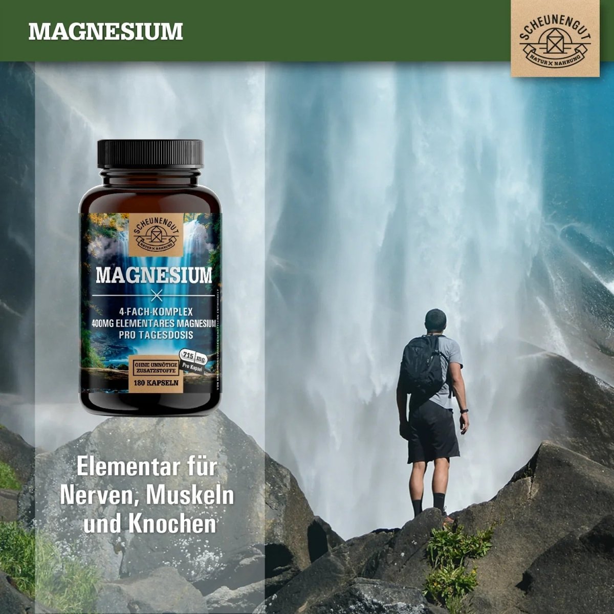 Komplex aus 4 bioaktiven Magnesiumquellen - 400mg elementares Magnesium pro Tag Scheunengut - Shop