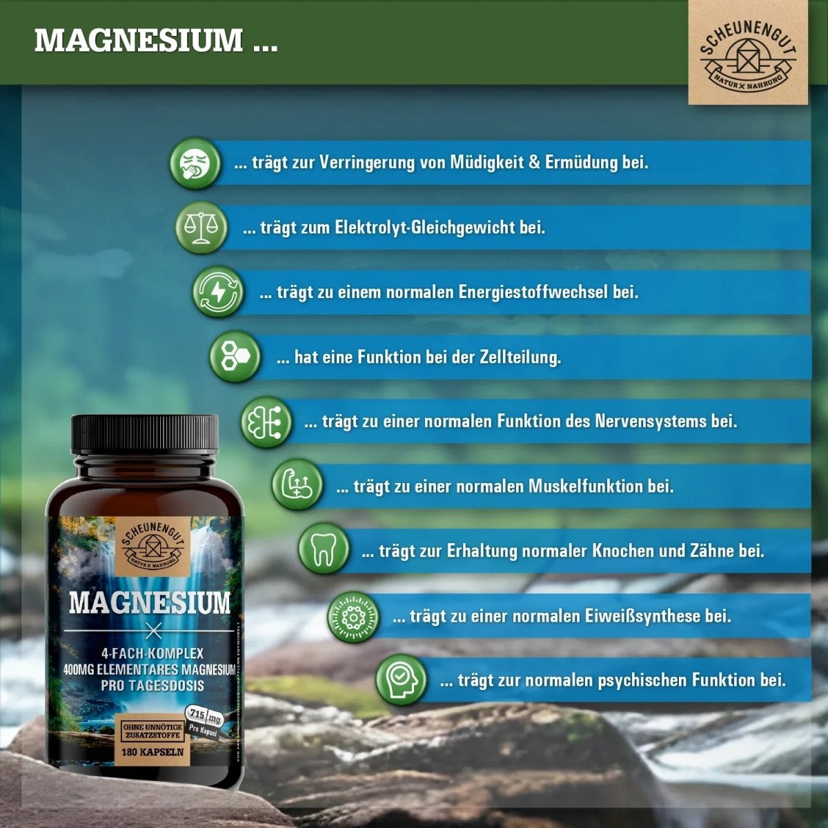 Komplex aus 4 bioaktiven Magnesiumquellen - 400mg elementares Magnesium pro Tag Scheunengut - Shop