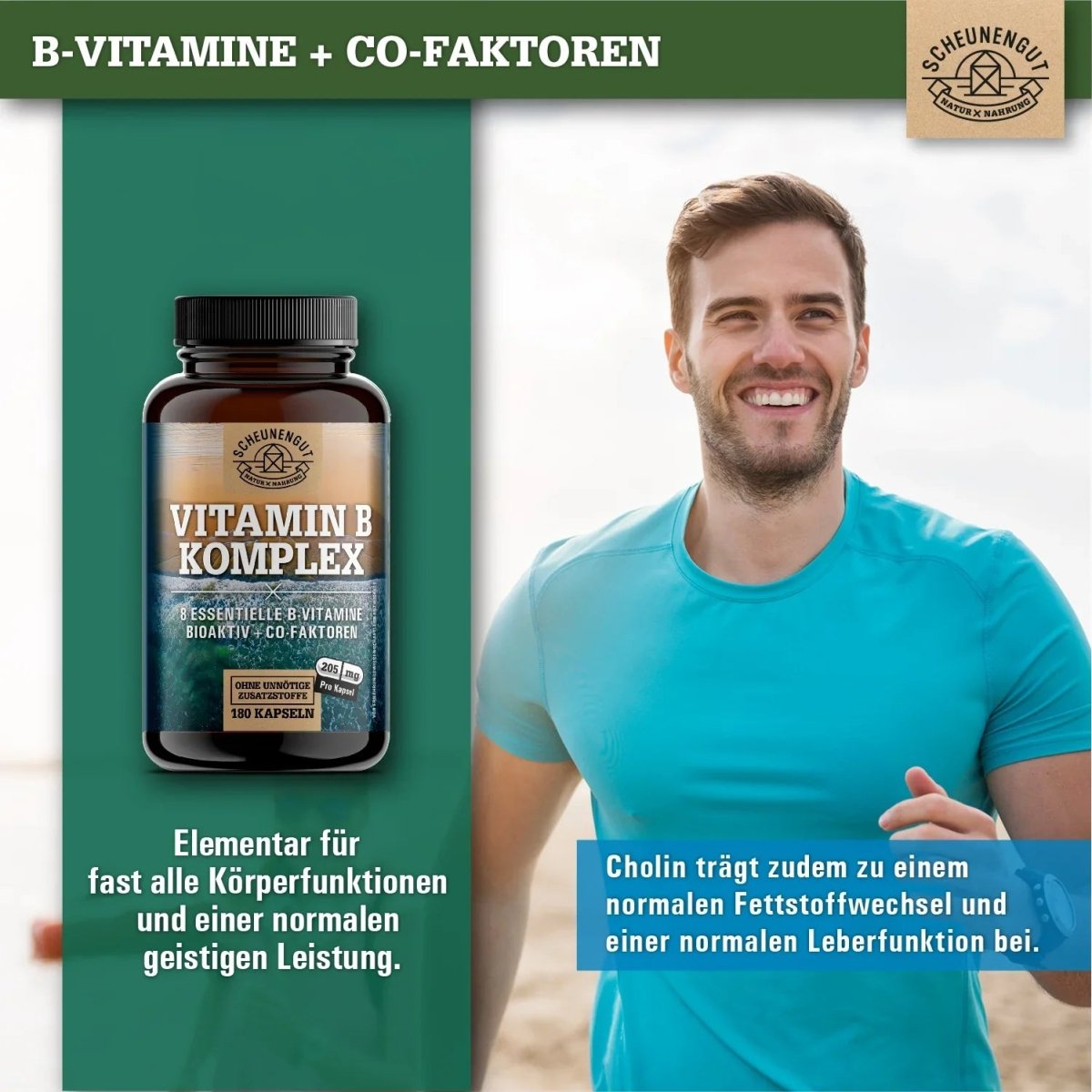 Komplex aus allen 8 B - Vitaminen (bioaktiv) + 3 Co - Faktoren Myo - Inositiol, Betain und Cholin Scheunengut - Shop