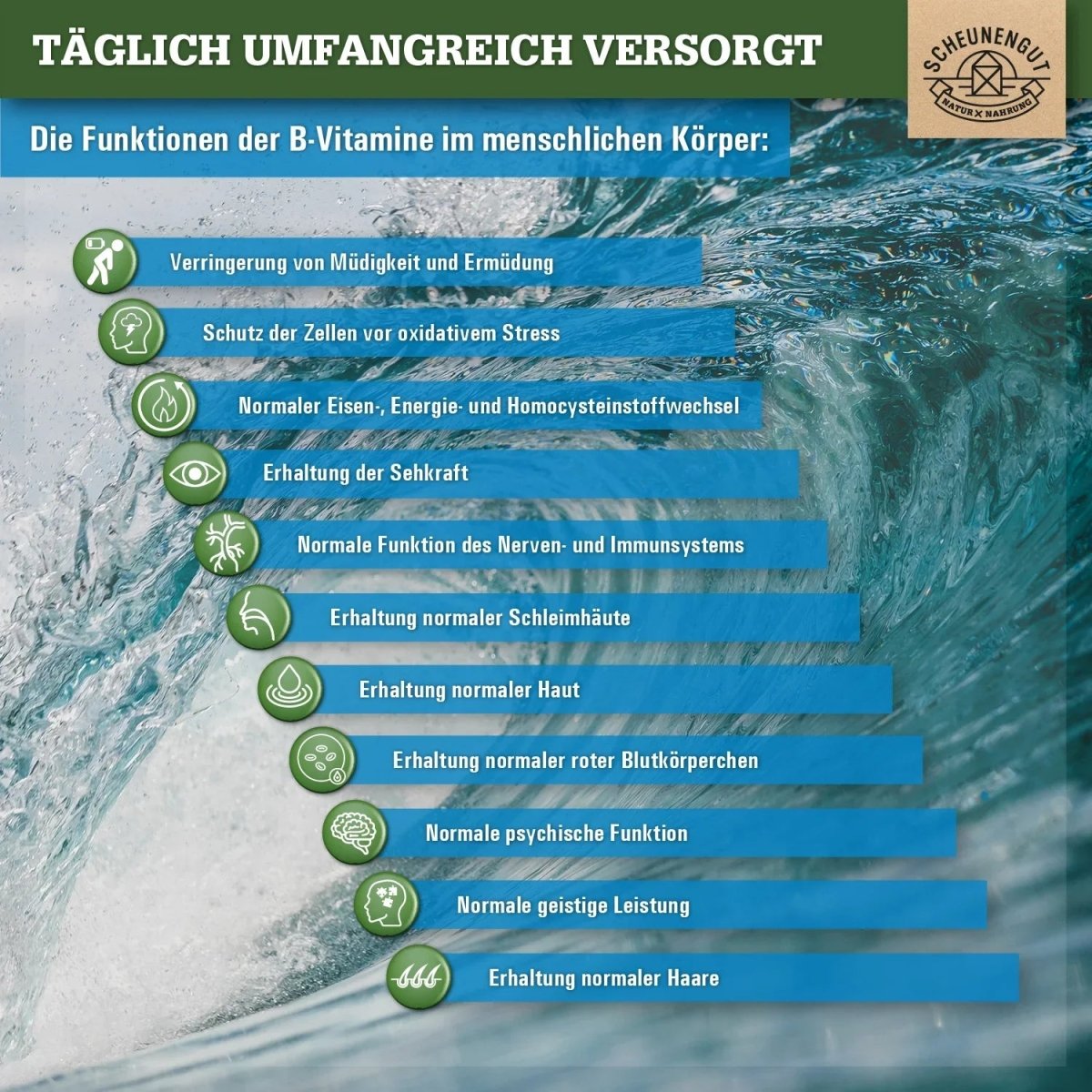 Komplex aus allen 8 B - Vitaminen (bioaktiv) + 3 Co - Faktoren Myo - Inositiol, Betain und Cholin Scheunengut - Shop