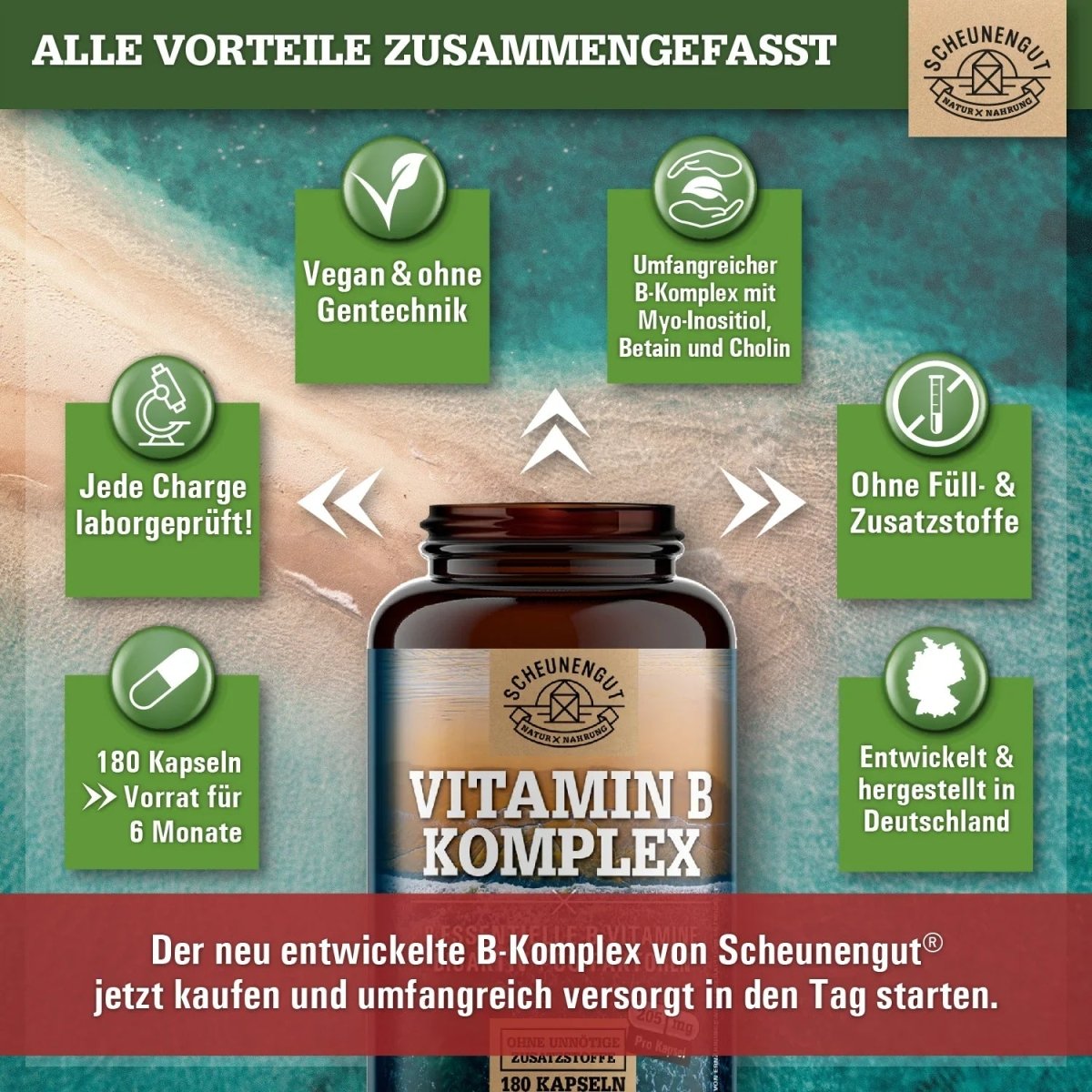 Komplex aus allen 8 B - Vitaminen (bioaktiv) + 3 Co - Faktoren Myo - Inositiol, Betain und Cholin Scheunengut - Shop