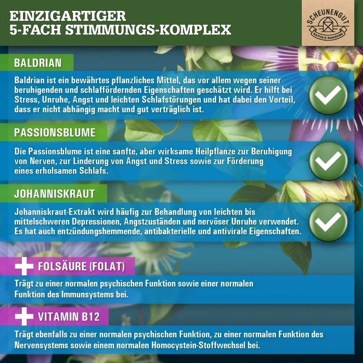 Komplex mit Johanniskraut, Baldrian, Passionsblume, Folsäure und Vitamin B12 Scheunengut - Shop