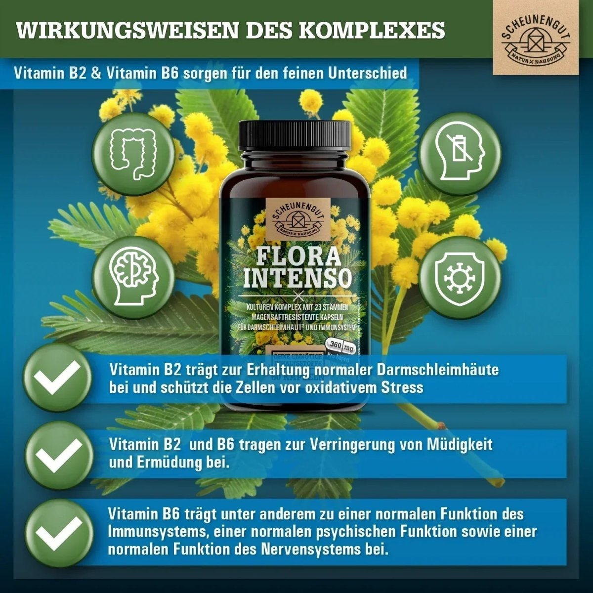 Kulturen Komplex mit 23 Bakterienstämmen & 100 Mrd. KBE/g Scheunengut - Shop