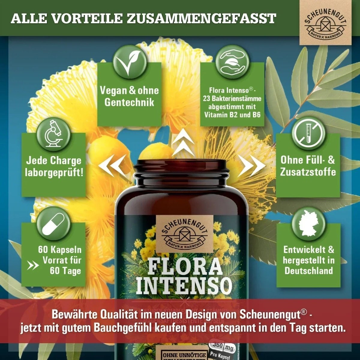 Kulturen Komplex mit 23 Bakterienstämmen & 100 Mrd. KBE/g Scheunengut - Shop