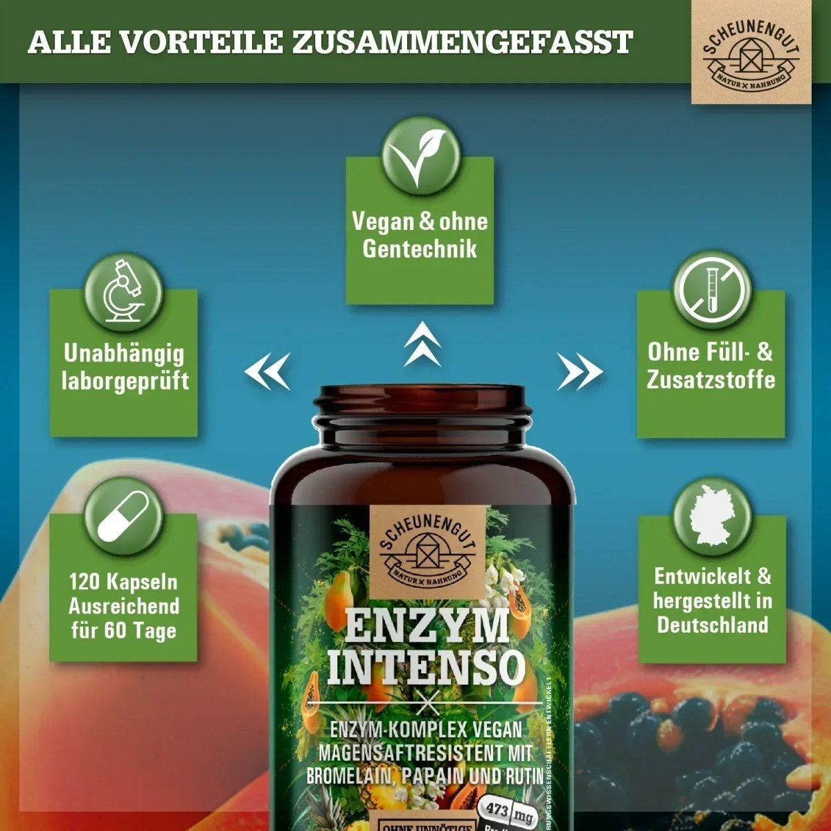 Magensaftresistenter Bromelain Komplex mit Papain, Rutin und Selen Scheunengut - Shop