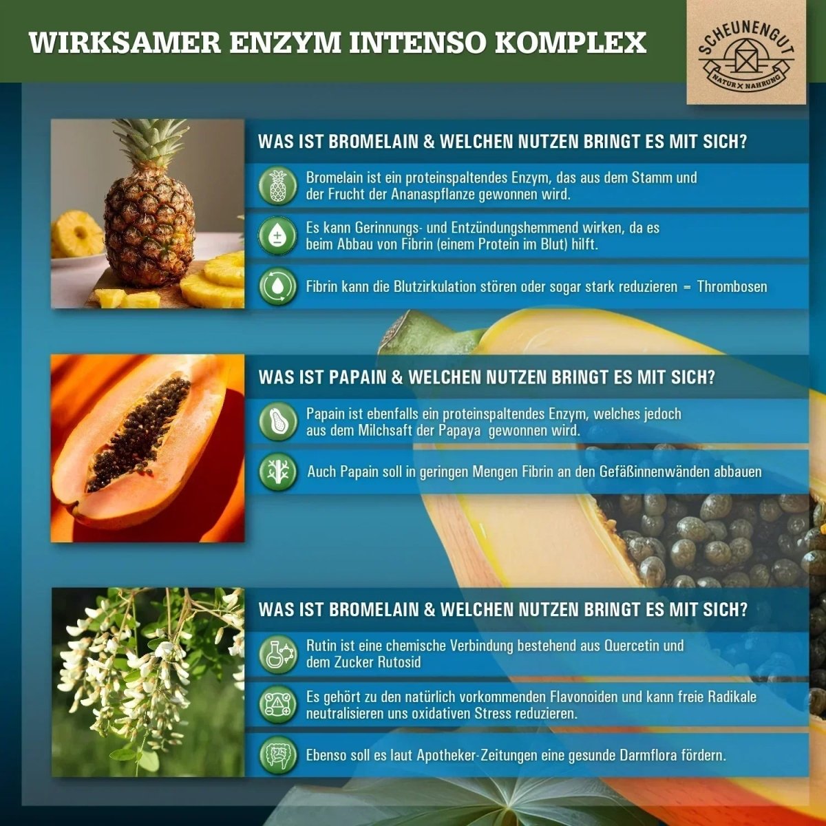 Magensaftresistenter Bromelain Komplex mit Papain, Rutin und Selen Scheunengut - Shop