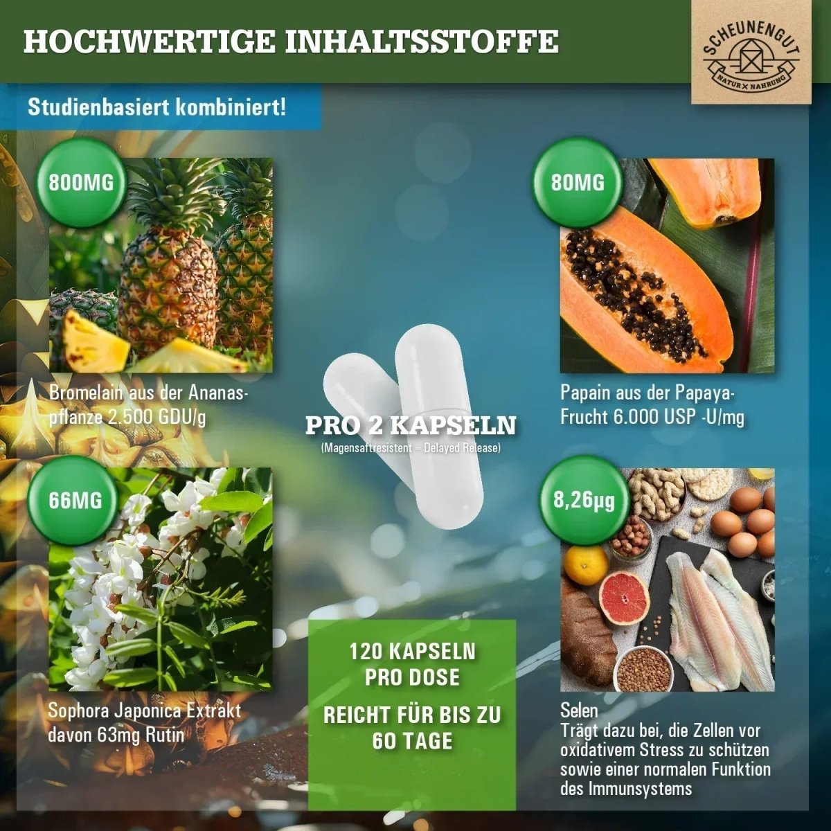 Magensaftresistenter Bromelain Komplex mit Papain, Rutin und Selen Scheunengut - Shop