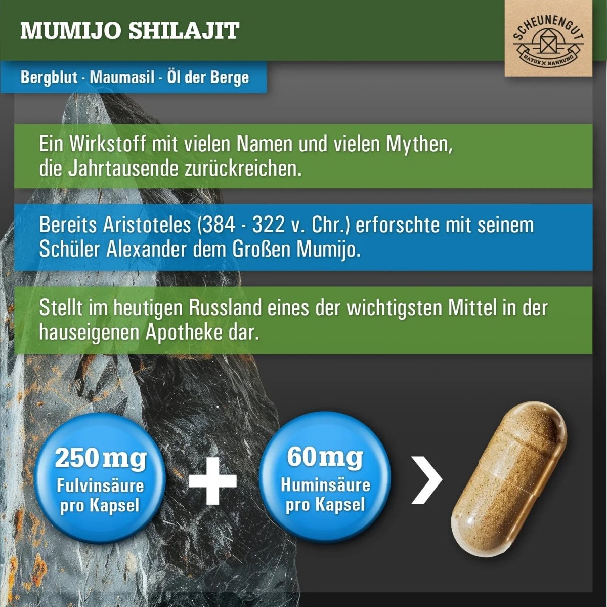 Mumijo Shilajit Extrakt mit 50% Fulvinsäure und 12% Huminsäure Scheunengut - Shop