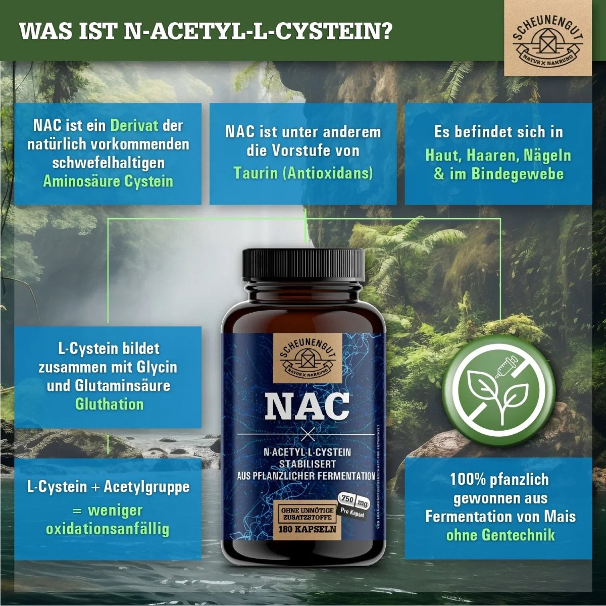 N - Acetyl L - Cystein hochdosiert 100% natürlich aus pflanzlicher Fermentation Scheunengut - Shop