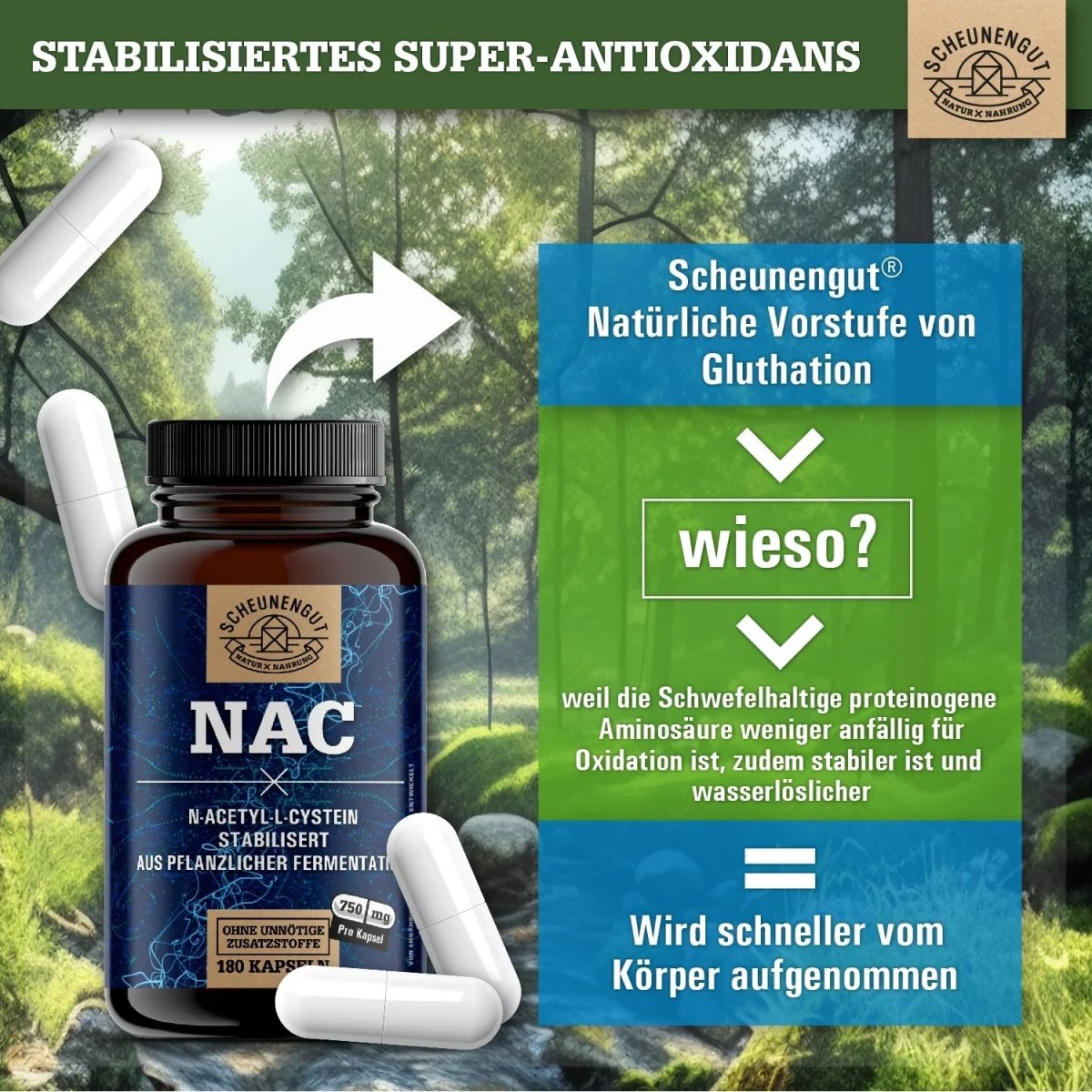 N - Acetyl L - Cystein hochdosiert 100% natürlich aus pflanzlicher Fermentation Scheunengut - Shop