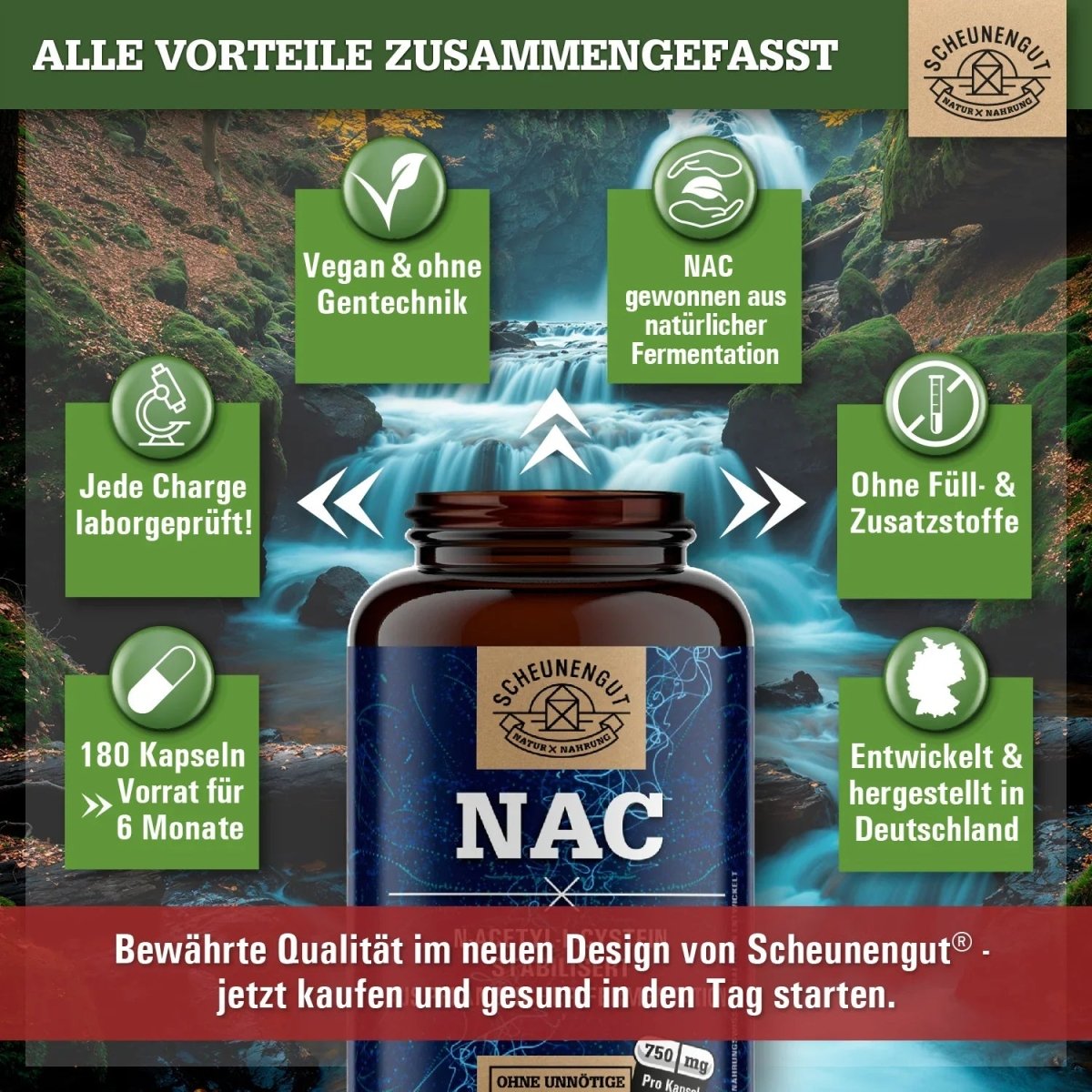 N - Acetyl L - Cystein hochdosiert 100% natürlich aus pflanzlicher Fermentation Scheunengut - Shop